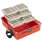 Miniatura de PRO-21-000029-003