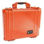 Miniatura de PRO-21-000088-002