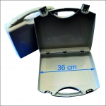 Miniatura de PRO-21-000199-001